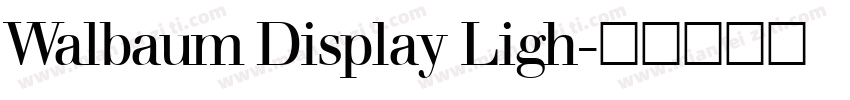 Walbaum Display Ligh字体转换